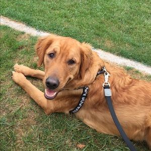 Meet your Posher, Todd